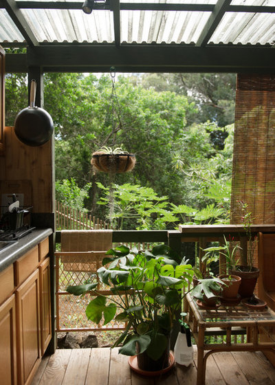 Tropical  by Ashley Camper Photography