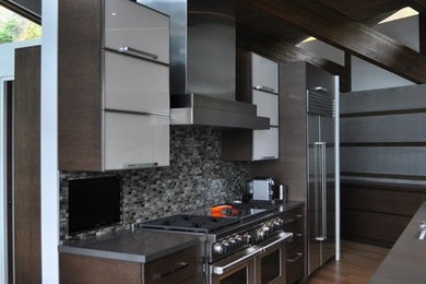 Inspiration for a modern kitchen remodel in Other