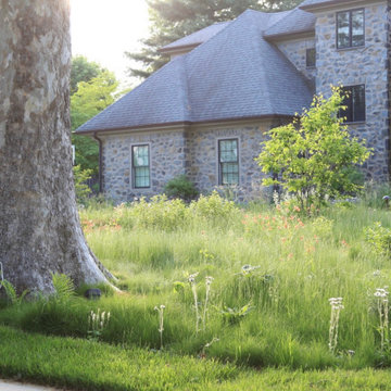 Chestnut Hill, Philadelphia.