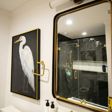 Journal Leaf Place- Guest Bathrooms Remodel
