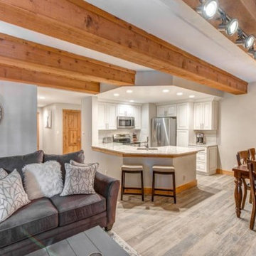 Pet Project - Remodel of Dated 2BR/2BA Condo Unit in Crested Butte