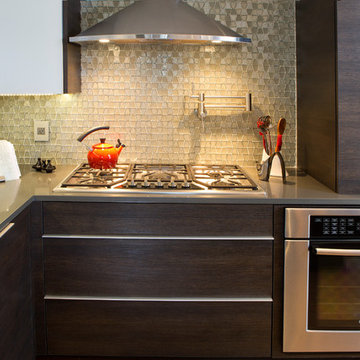 "Corsica" Backpainted White Glass with Wenge Textured