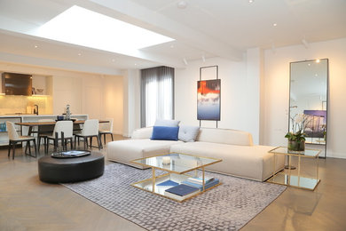 Design ideas for a large modern living room in Melbourne.
