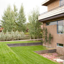 Backyard Slope