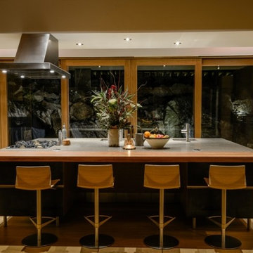 Lakefront Modern