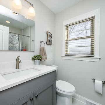 Arlington Heights Whole Home Remodel