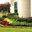 MLS Landscaping