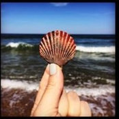 Alexis Herschthal's photo