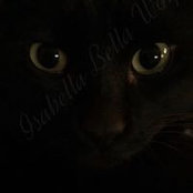 Isabella Wolf's photo