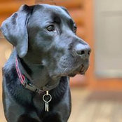 Phyllis-Terry Toler's photo