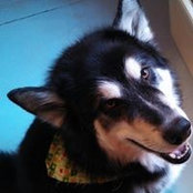 Liz Lemmel's photo