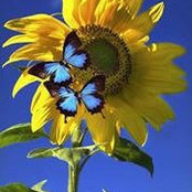 Beth Stoller's photo
