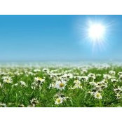 Foto de Lyness Tan
