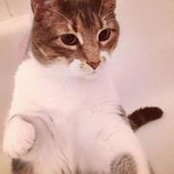 Jennifer Smith's photo