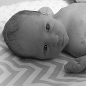 Molly Dulaney's photo