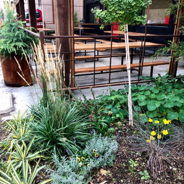 Red Light Ramen Outdoor Patio