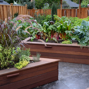 Raised Vegetable / Ornamental Garden