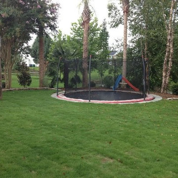 Trampoline back yard