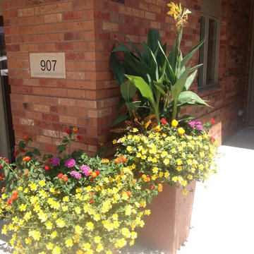 Summer Containers