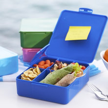 Contemporary Lunch Boxes And Totes by User