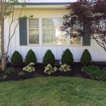 Landscape - Front Foundation