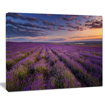 Dark Lavender Field with Cloudy Sky, Floral Canvas Art Print, 20"x12"