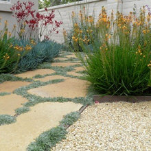 68 Cutter BACKYARD paths