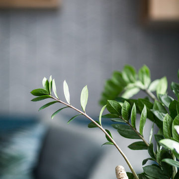 Salon - Appartement
