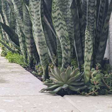 Western Pine Residence