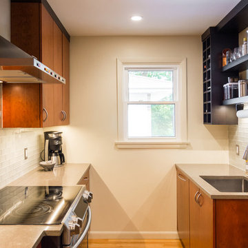 Ann Arbor "Tiny" Kitchen remodel