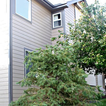 Exterior Paint