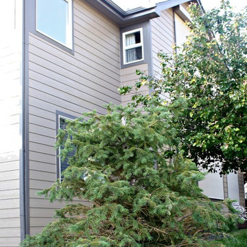 Exterior Home Painting Golden, CO