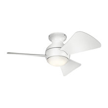 Ceiling Fans