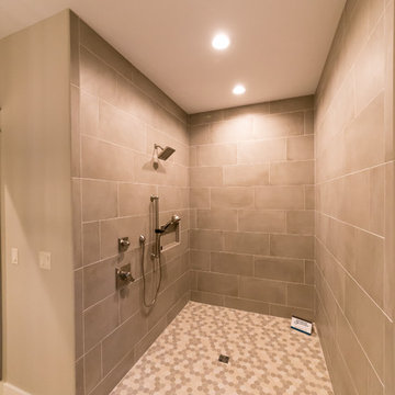Walk-In Shower and Bathroom