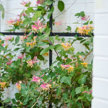 A Traditional Garden with a Contemporary Twist