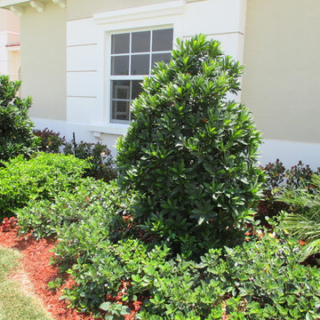 Individual Plant Photos # 1:Customer Aid (Not complete- hundreds will be here)