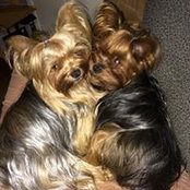 Tony Vallejos's photo
