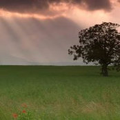 Michelle White's photo