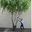 Make Be-Leaves, Inc.