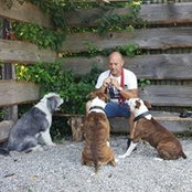 Michael Wollbaums foto