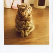 Fig Newton's photo