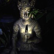 Catherine Corrado-Lodi's photo