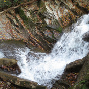 Kim Stoddard's photo