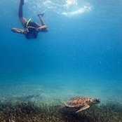 Michelle Silva's photo