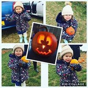 Michelle Stoddart's photo