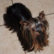 Martha Bain's photo