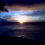 Amanda Welch's photo