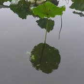 Chintay Shih's photo