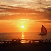 Dianne Shadwick's photo