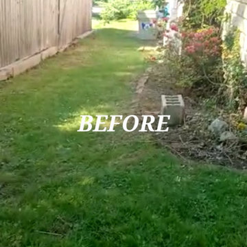 Cleanup and Mulching